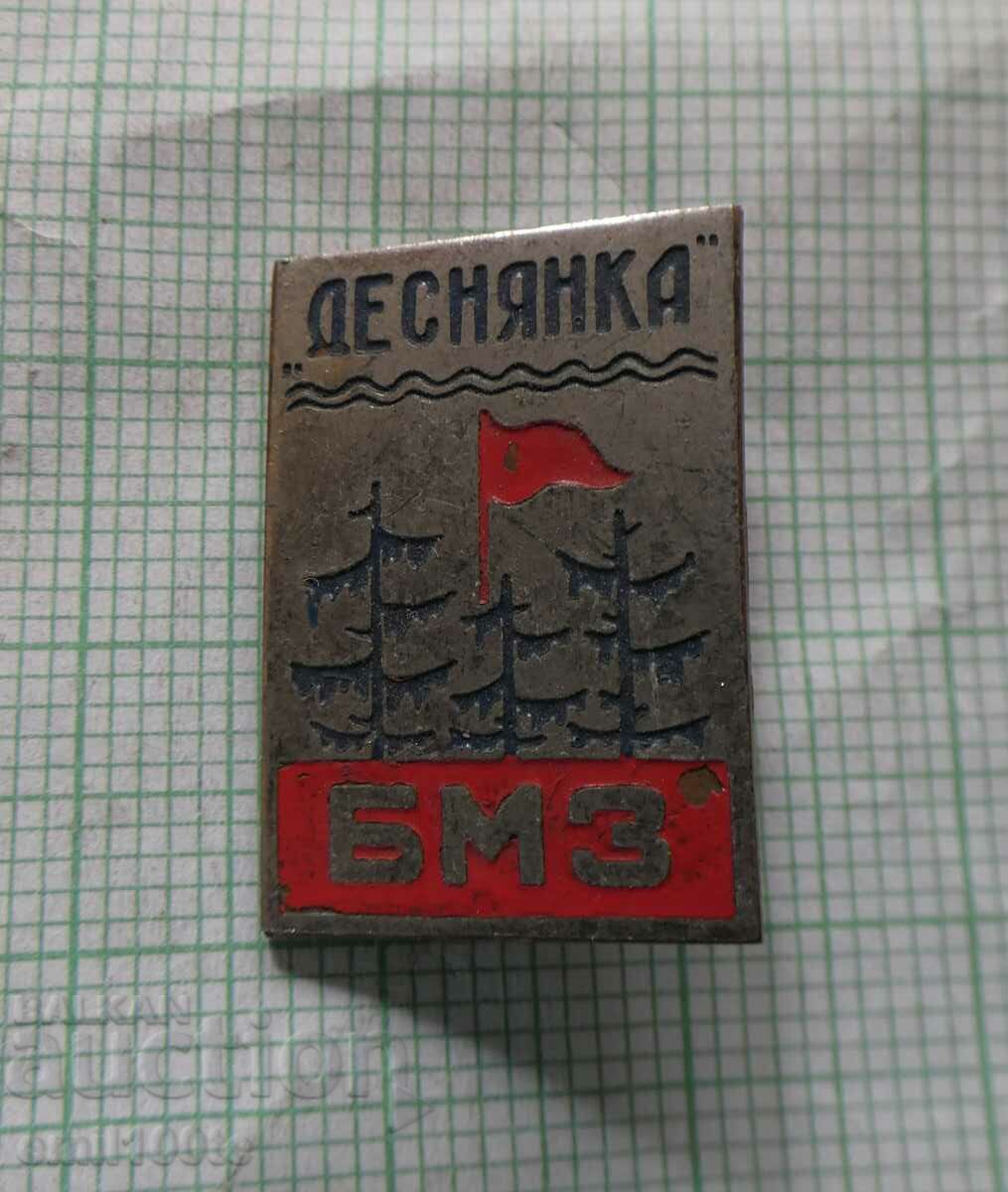 Badge - Children's Camp Desnyanka BMZ