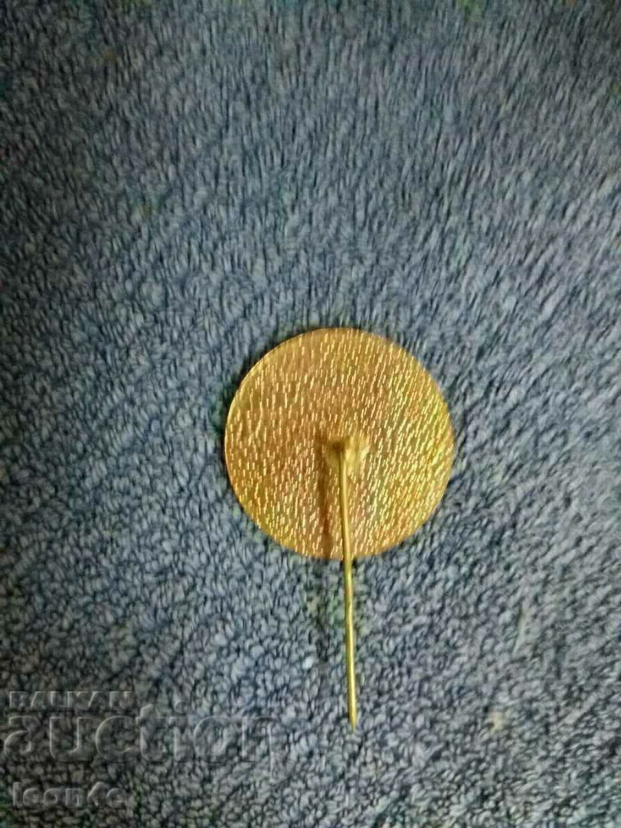 Znachka cu preț 6.00 BGN | € 3.07