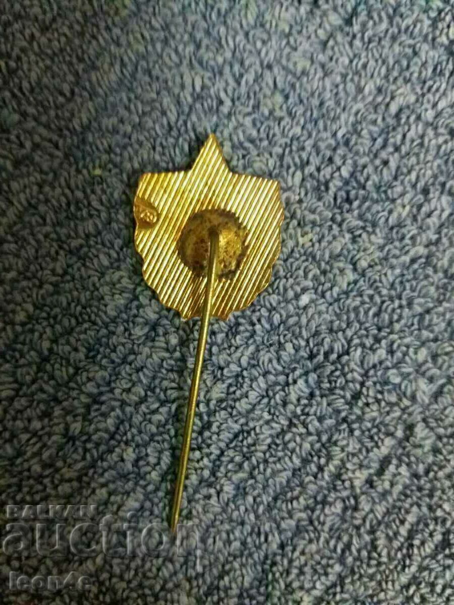 Значка ВИФ с цена € 3.00 | 5.87 лв.