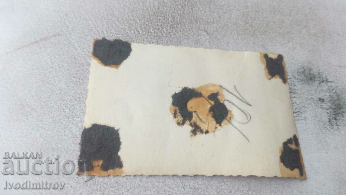 Photo Sofia Three women and a baby in a retro baby carriage with price 2.45 BGN | € 1.25 Photo Sofia Three women and a baby in a retro baby carriage with price 2.45 BGN | € 1.25