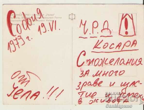 Card Bulgaria Sunny Beach restaurant "Palma"** with price 0.90 BGN | € 0.46 Card Bulgaria Sunny Beach restaurant "Palma"** with price 0.90 BGN | € 0.46