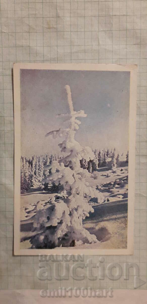 Картичка - Витоша през зимата
