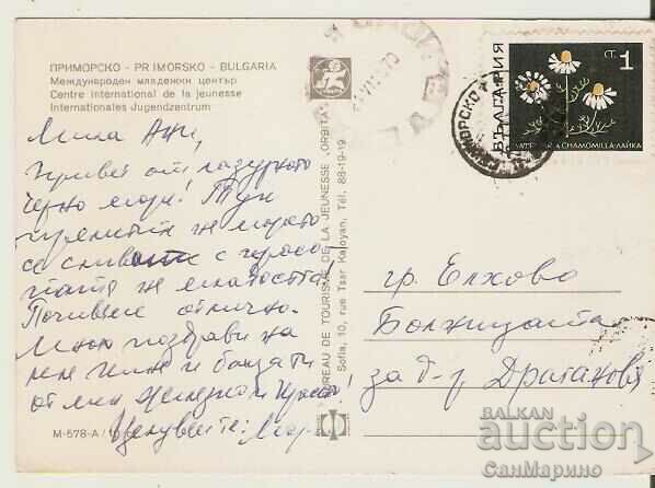 Card Bulgaria Primorsko International Youth Complex 2 * with price 0.70 BGN | € 0.36 Card Bulgaria Primorsko International Youth Complex 2 * with price 0.70 BGN | € 0.36