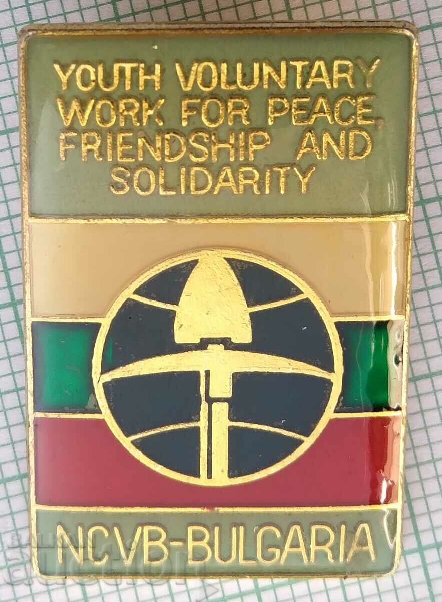 12458 Youth voluntary work for peace friendship solid.