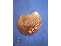 FOSSIL AMMONITE NATURAL MARINE OPALIZED III