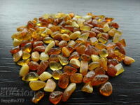 BZC!! 36.90 ct natural Baltic amber 100 pcs.+ of 1 st.!
