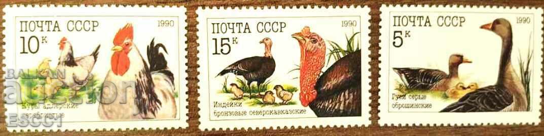 Clean Stamps Fauna Domestic Birds 1990 from the USSR