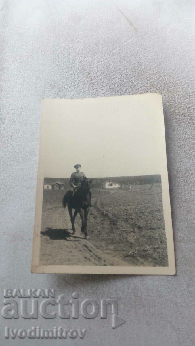 Ofițer foto pe un cal pe drum