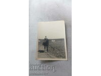 Ofițer foto pe un cal pe drum
