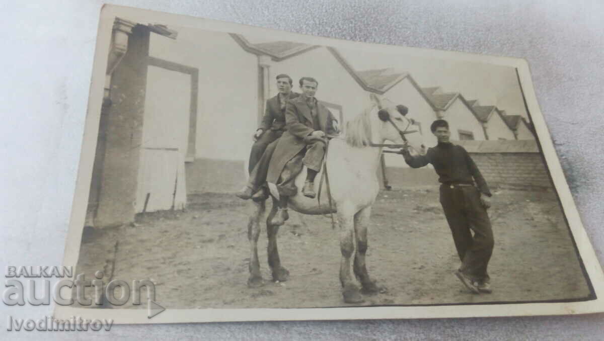 Снимка Трима мъже с бял кон