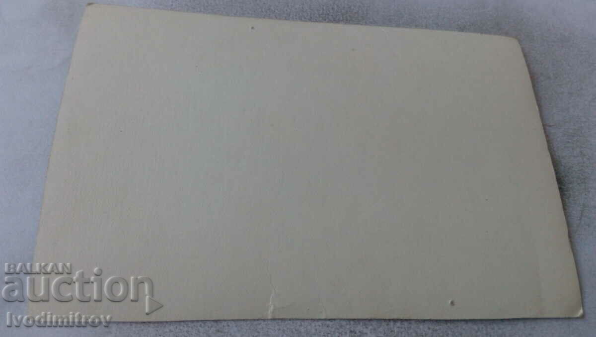 Foto Autostradă în pădure cu preț 1.85 BGN | € 0.95 Foto Autostradă în pădure cu preț 1.85 BGN | € 0.95