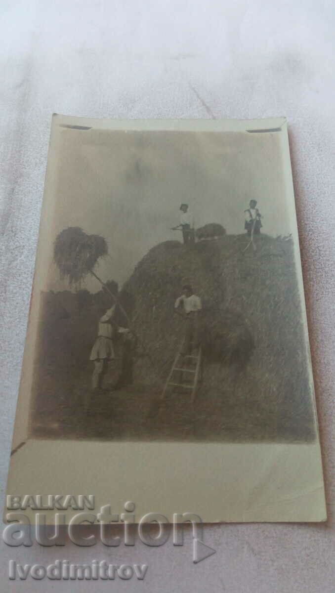 Photo Men collecting hay on a large bowl