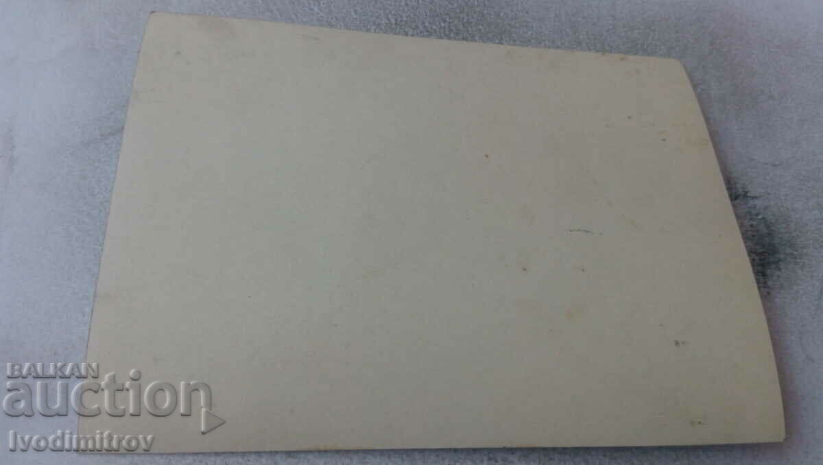 Photo Men gins and children on the meadow with price 1.15 BGN | € 0.59 Photo Men gins and children on the meadow with price 1.15 BGN | € 0.59