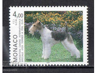 1996. Μονακό. Διεθνής Έκθεση Σκύλων, Μόντε Κάρλο.
