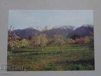 Card: Bansko - Vedere din Pirin.