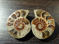 62.65 k natural ammonite Jurassic 2 pcs. a pair