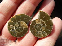 66.35 k natural ammonite Jurassic 2 pcs. a pair