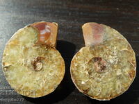60.60 k natural ammonite Jurassic 2 pcs. a pair