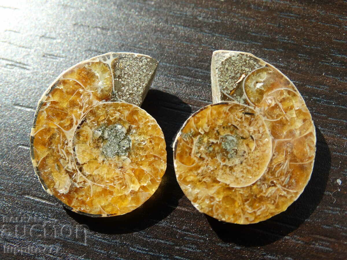 48.25 k natural ammonite Jurassic 2 pcs. a pair with price 79.00 BGN | € 40.39 48.25 k natural ammonite Jurassic 2 pcs. a pair with price 79.00 BGN | € 40.39