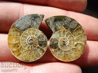42.45 k natural ammonite Jurassic 2 pcs. a pair