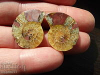 44.35 k natural ammonite Jurassic 2 pcs. a pair