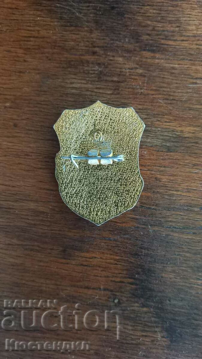 Licitație insignă MATE