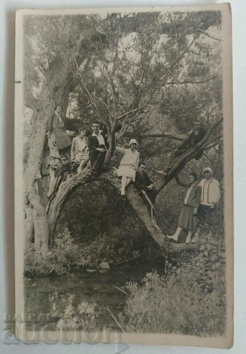 1928 CROOKED WILLOW BOILER TOURIST OLD PHOTO PHOTO