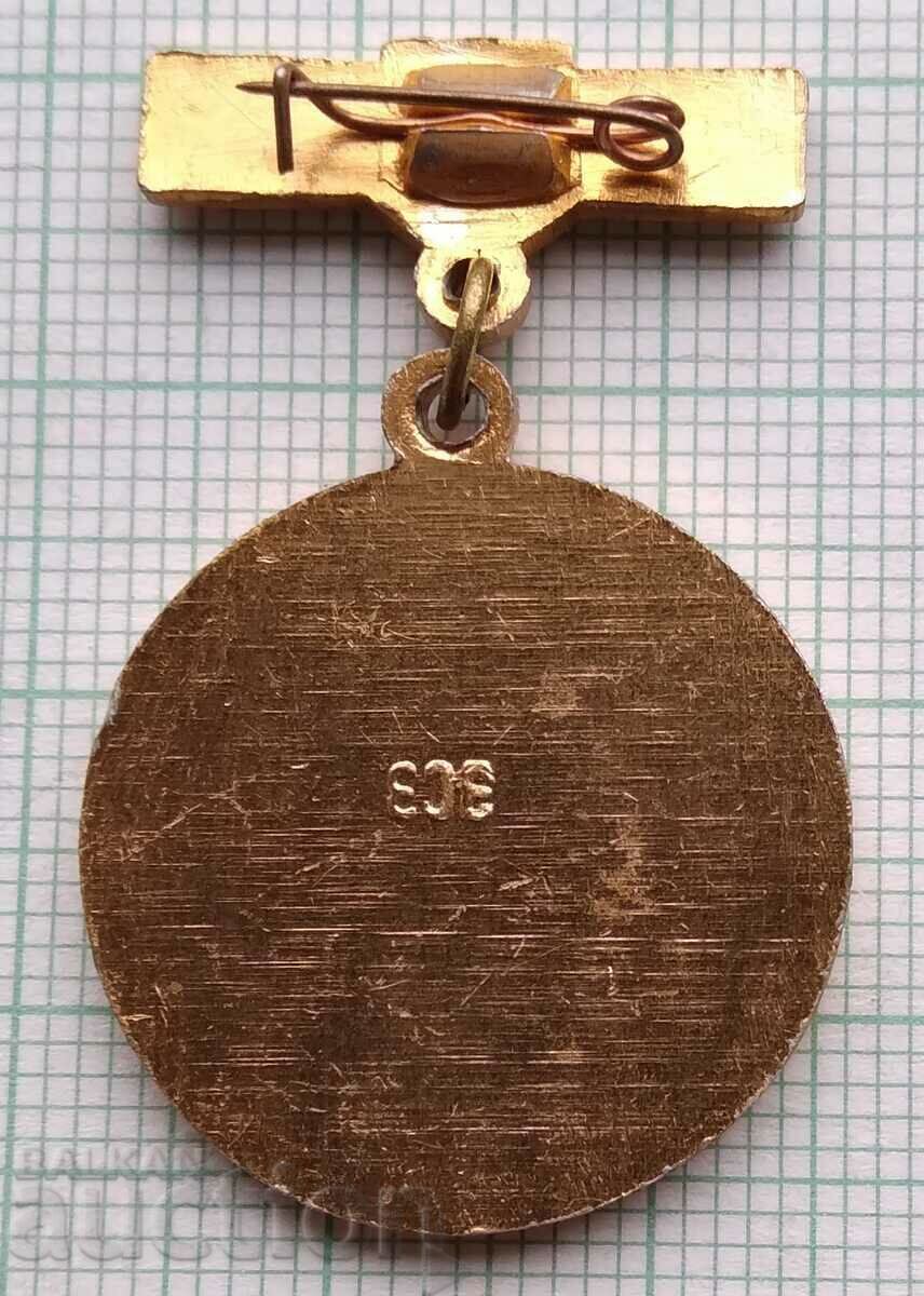 Auction 12502 Badge - USSR Donor 1st degree - Red Cross Auction 12502 Badge - USSR Donor 1st degree - Red Cross