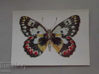 Картичка: пеперуда – 1988 г.