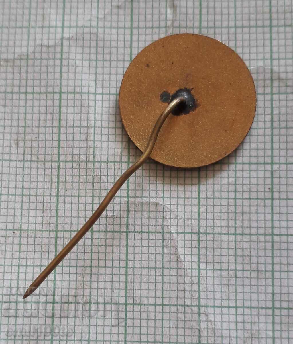 Delivery of Nadezhda cruiser badge Delivery of Nadezhda cruiser badge