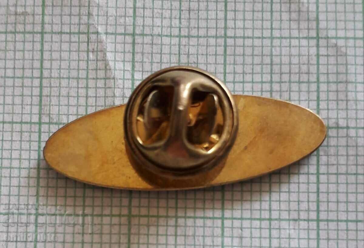 Badge - 30 years ATSA RVD - 5 Badge - 30 years ATSA RVD - 5