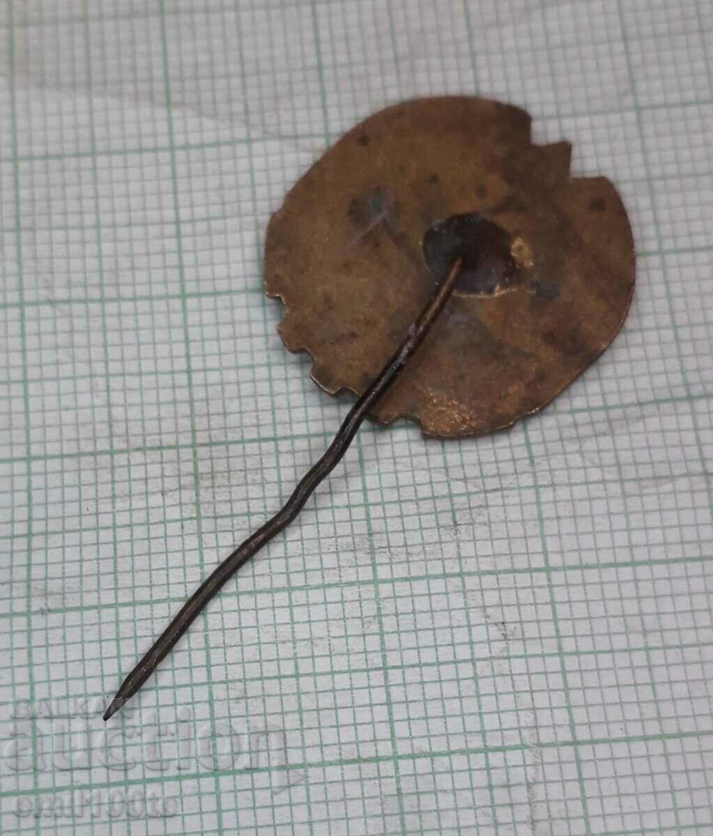 Delivery of Badge - TRP Ready for work and defense Delivery of Badge - TRP Ready for work and defense