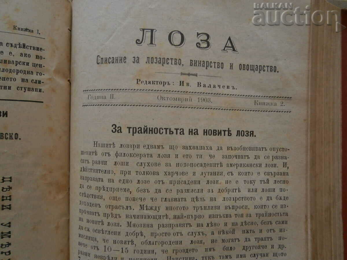 1903 vintage magazines Loza Selska Probuda Household - 6