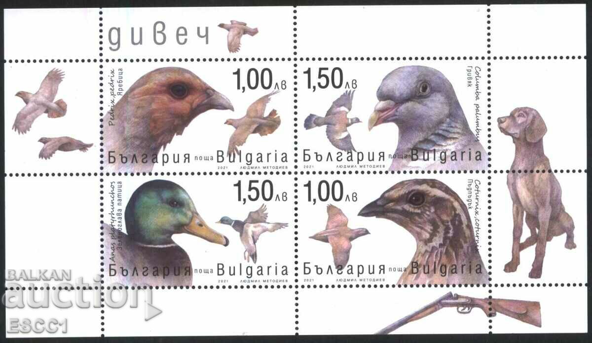 Clean Block Game Fauna Birds 2021 from Bulgaria