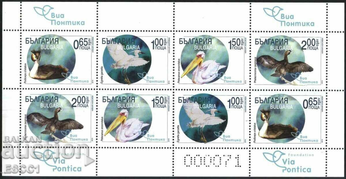 Καθαρίστε γραμματόσημα μικρό σεντόνι Fauna Birds Via Pontica 2019 Bulgaria