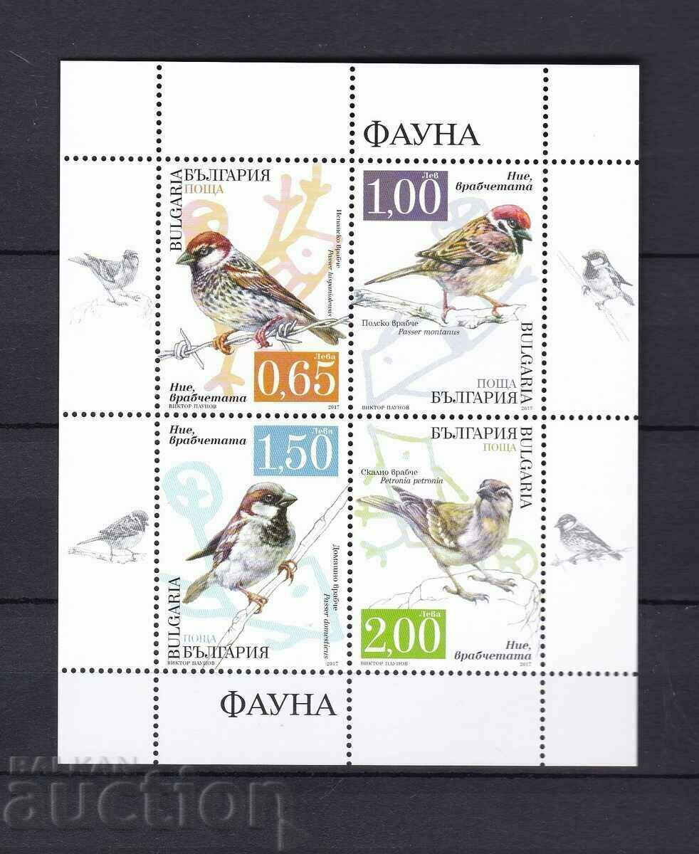 5124 - 26 Bulgaria 2017 We sparrows