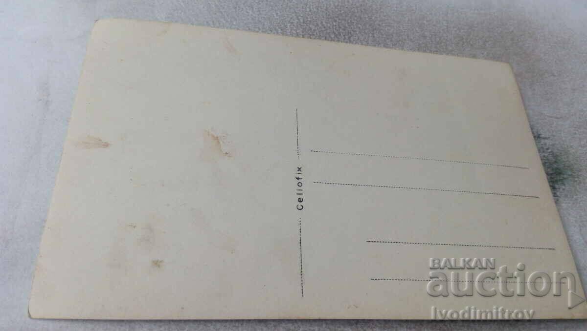 Photo Young men and women on a tree by the river with price 1.45 BGN | € 0.74 Photo Young men and women on a tree by the river with price 1.45 BGN | € 0.74