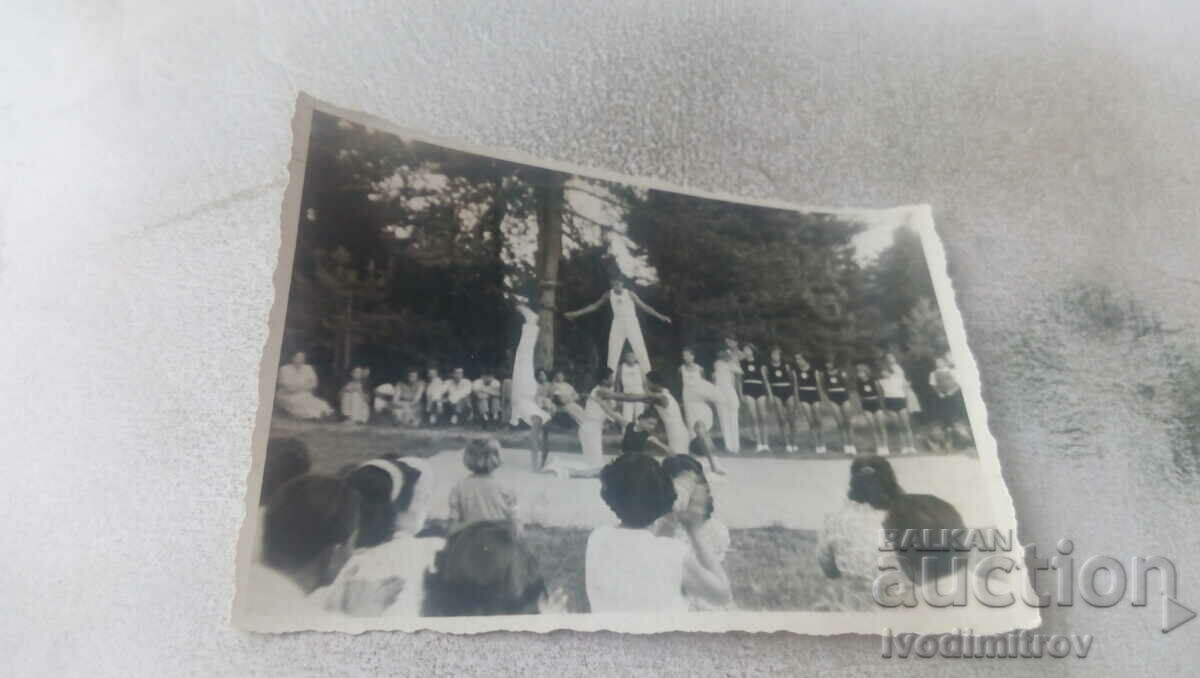 Photo Performance of gymnasts