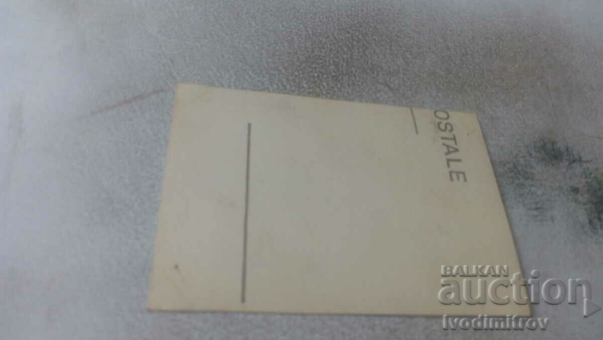 Photo Young men and women on rocks with price 0.75 BGN | € 0.38 Photo Young men and women on rocks with price 0.75 BGN | € 0.38