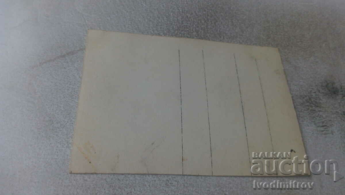 Photo Boys and girls on a trip with price 0.75 BGN | € 0.38 Photo Boys and girls on a trip with price 0.75 BGN | € 0.38