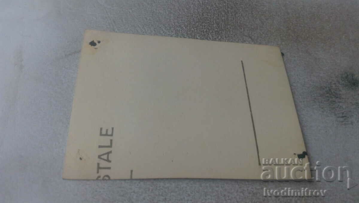 Photo Boys and girls on a trip with price 0.75 BGN | € 0.38 Photo Boys and girls on a trip with price 0.75 BGN | € 0.38