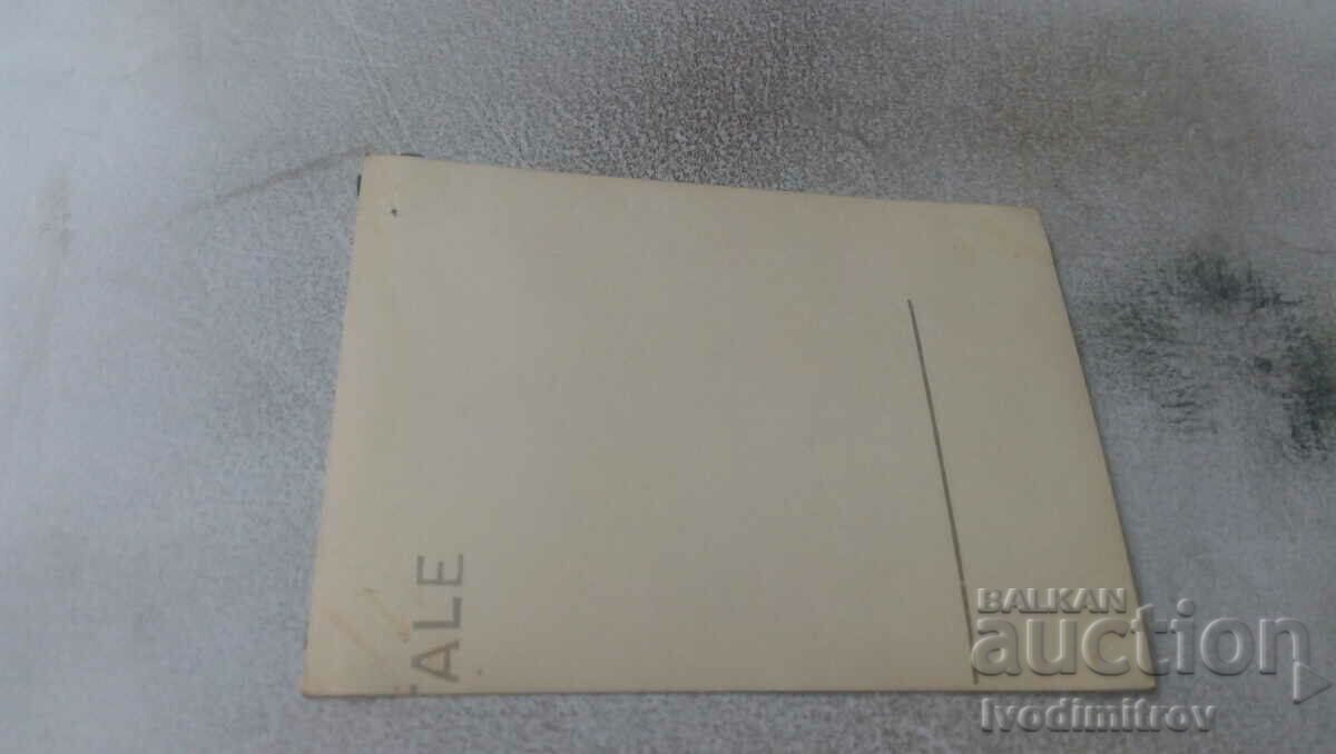 Photo Young men and women in front of a sata house in the mountains with price 0.75 BGN | € 0.38