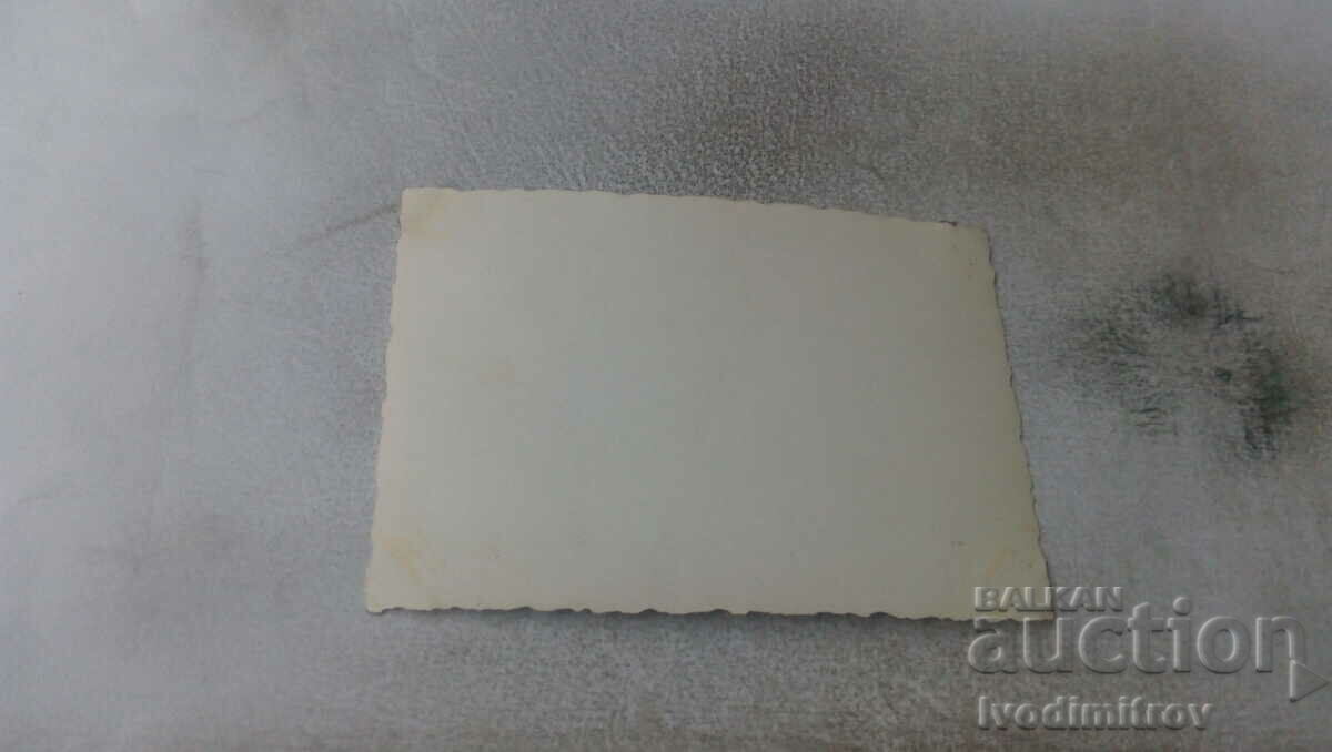 Photo Men, women and a dog on an excursion in the mountains with price 1.65 BGN | € 0.84 Photo Men, women and a dog on an excursion in the mountains with price 1.65 BGN | € 0.84