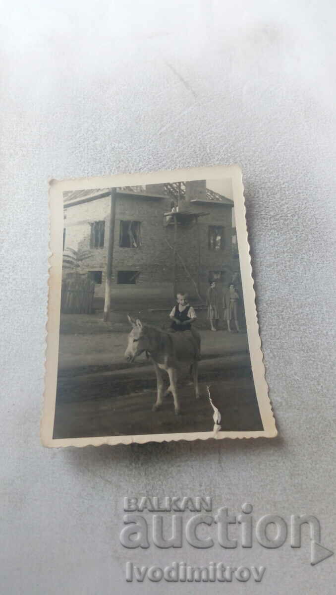 Photo Little boy on a donkey