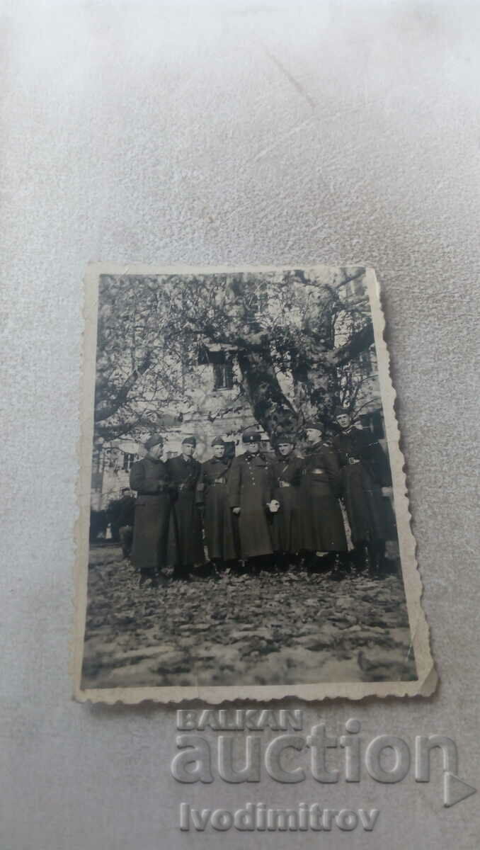 Αξιωματικοί φωτογραφιών κάτω από ένα μεγάλο δέντρο