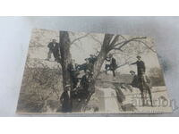 Photo Young men perched on a poplar next to a bridge over a river