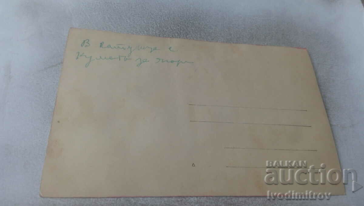 Photo Katunitsa Youth women and children for strawberries with price 1.65 BGN | € 0.84 Photo Katunitsa Youth women and children for strawberries with price 1.65 BGN | € 0.84