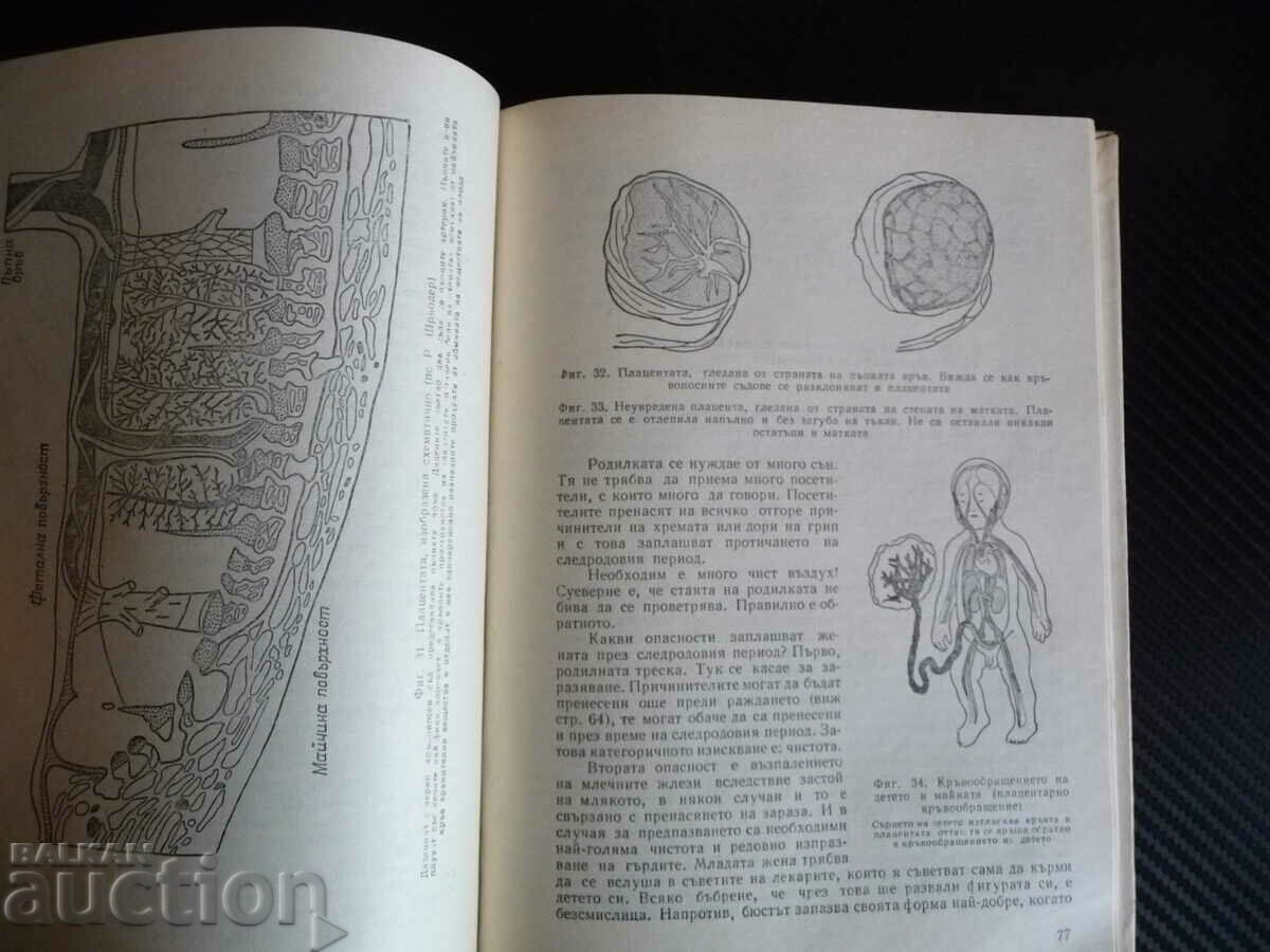 Auction  New book on marriage Rudolph Neubert marriage family love sex