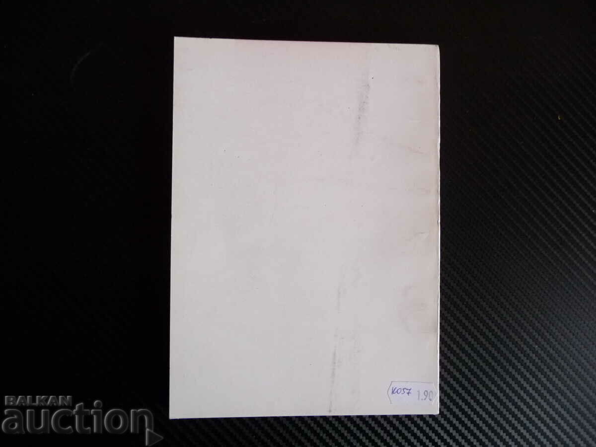 Auction The conditional in the modern Bulgarian literary language Hristina Auction The conditional in the modern Bulgarian literary language Hristina