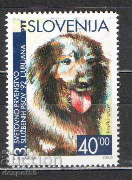 1992. Slovenia. Campionatul mondial pentru câini dresați.